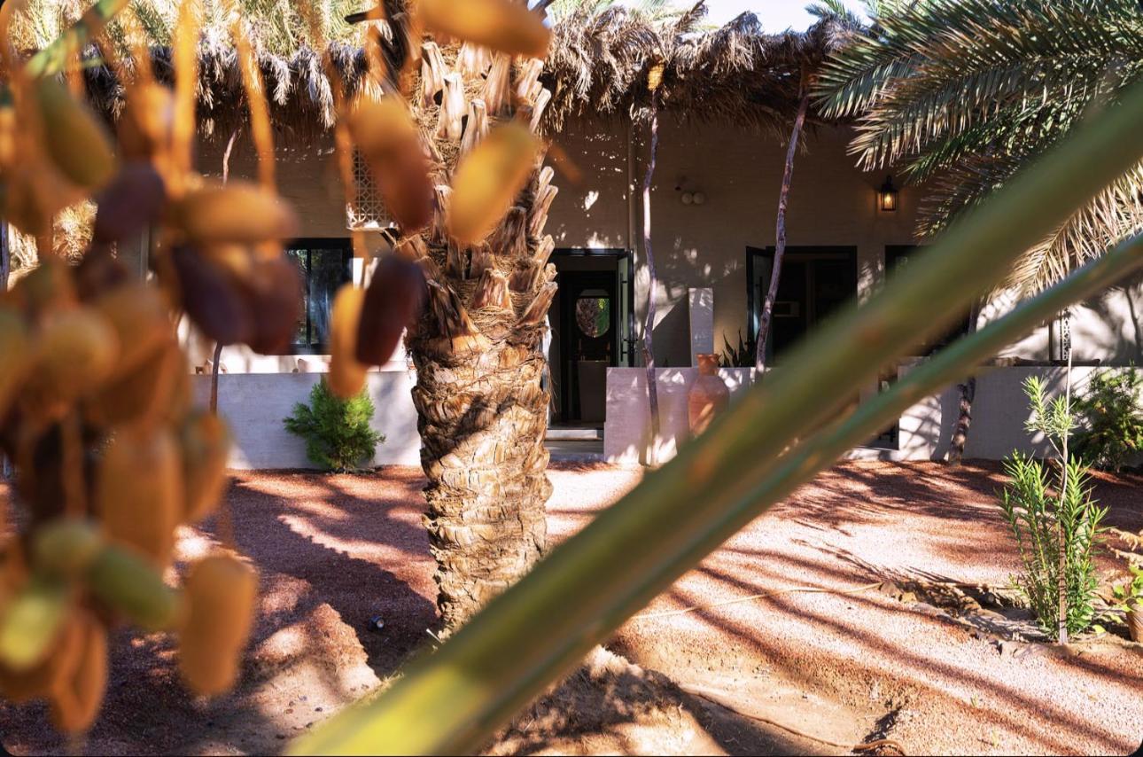 Hotel Under Las Palms Alula Madain Saleh Exterior foto