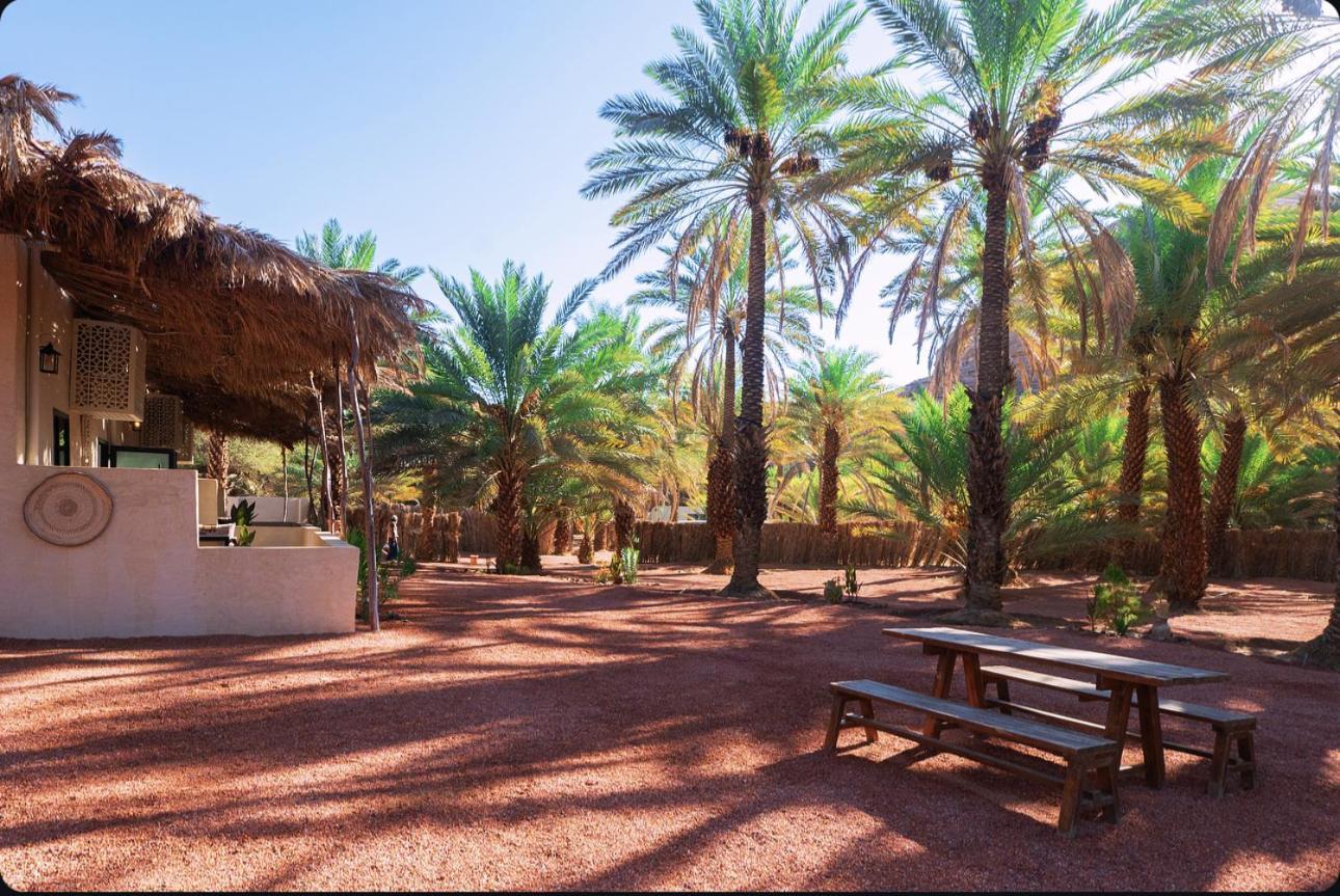 Hotel Under Las Palms Alula Madain Saleh Exterior foto